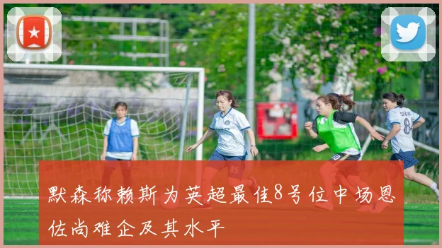 默森称赖斯为英超最佳8号位中场恩佐尚难企及其水平