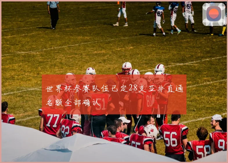 世界杯参赛队伍已定28支亚非直通名额全部确认